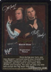 Hardy Boyz Superstar Card